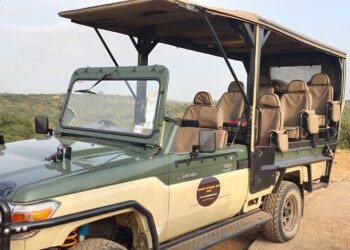 Driving Delight: A Guide to Car Excursions in Kenya