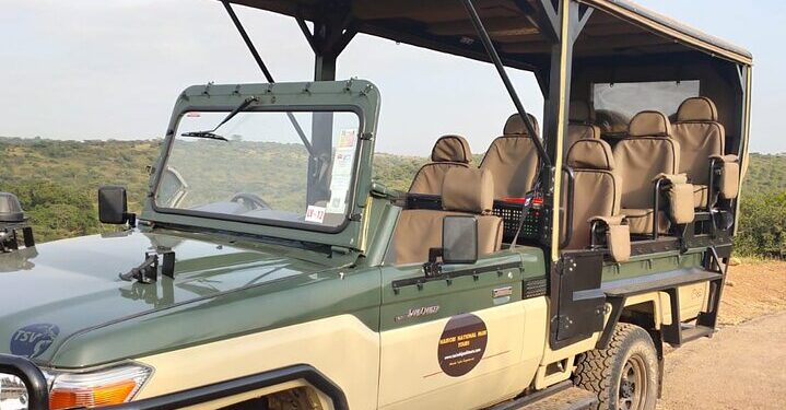 Driving Delight: A Guide to Car Excursions in Kenya