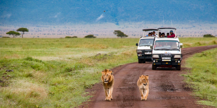 Drive into the Wild: A Car Enthusiast’s Guide to Kenya’s Exciting Escapades