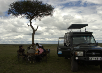 Safari Chronicles: A 4×4 Expedition through Kenya’s Marvelous Masai Mara