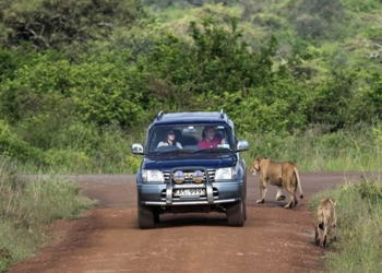 Essential Tips for Renting a Self-Drive Car in Kenya