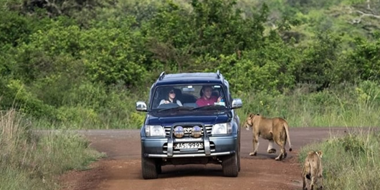 Essential Tips for Renting a Self-Drive Car in Kenya