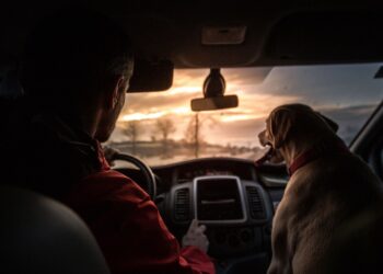 Extending Your Car’s Lifespan: Essential Tips for Kenyan Drivers