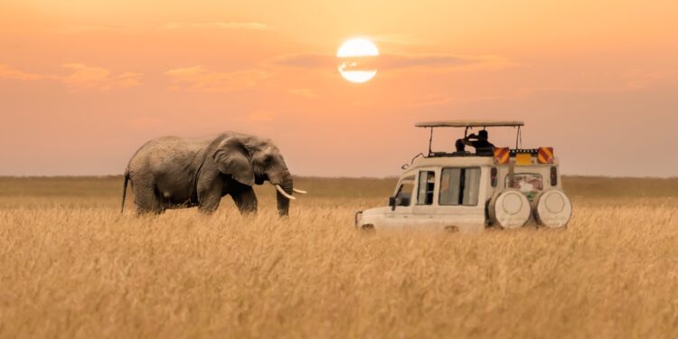 Top Things to Do in Kenya: A Blend of Adventure and Culture