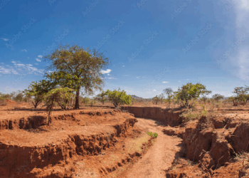 How to Choose the Right Tires for Kenyan Terrain