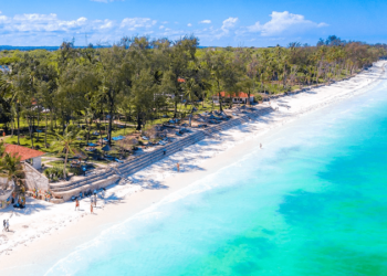 Places to Visit While in Diani, Kenya: A Complete Travel Guide