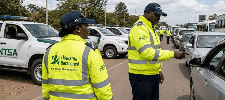 Resolving NTSA Vehicle Data Mismatches: The Best Correction Paths  
