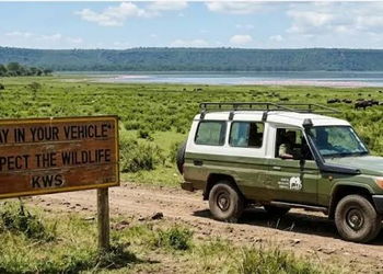 Nairobi to Nakuru Self-Drive Guide: Best Stopovers & Hidden Gems 