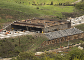 Kenya Wildlife Crossings: Safer Highways for Animals and Drivers
