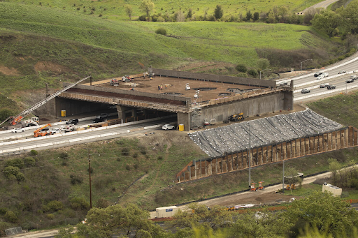 Kenya Wildlife Crossings: Safer Highways for Animals and Drivers